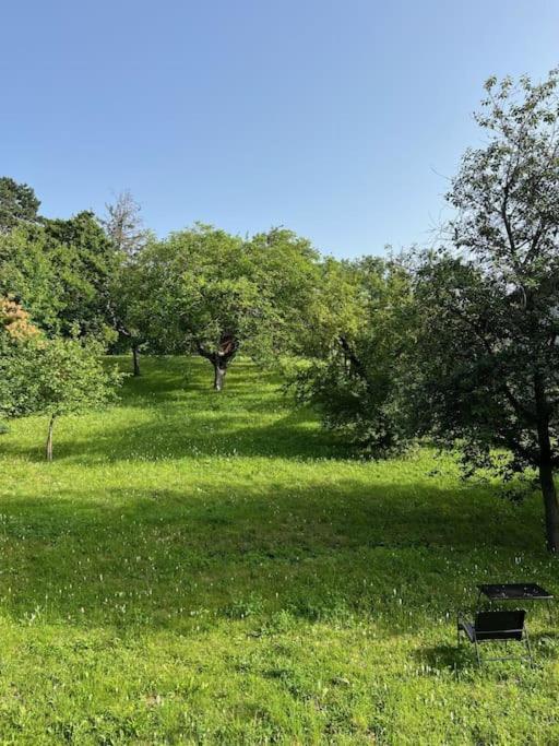Beletage Johann Strauss Klosterneuburg Luaran gambar